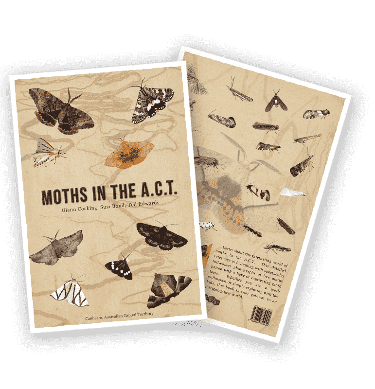 A book about Australian moths